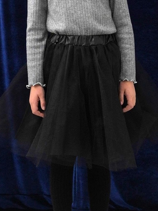 Black Cancan Skirt Black Cancan Skirt