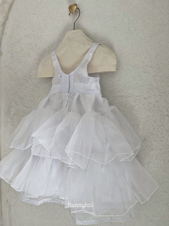 Silky Tutu Underskirt